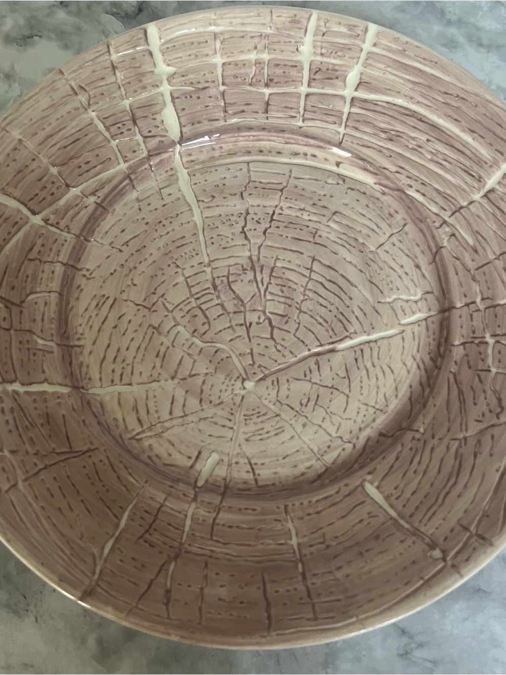 Anthropologie Tree Ring Bowl NWT | Hand Painted Faux Bois Wood Grain Plate